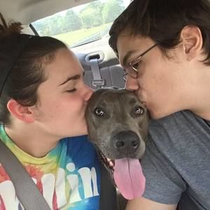 Meet your Posher, Shelby